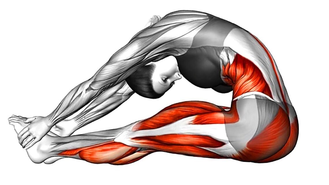 Full Body Pilates Workout at Home