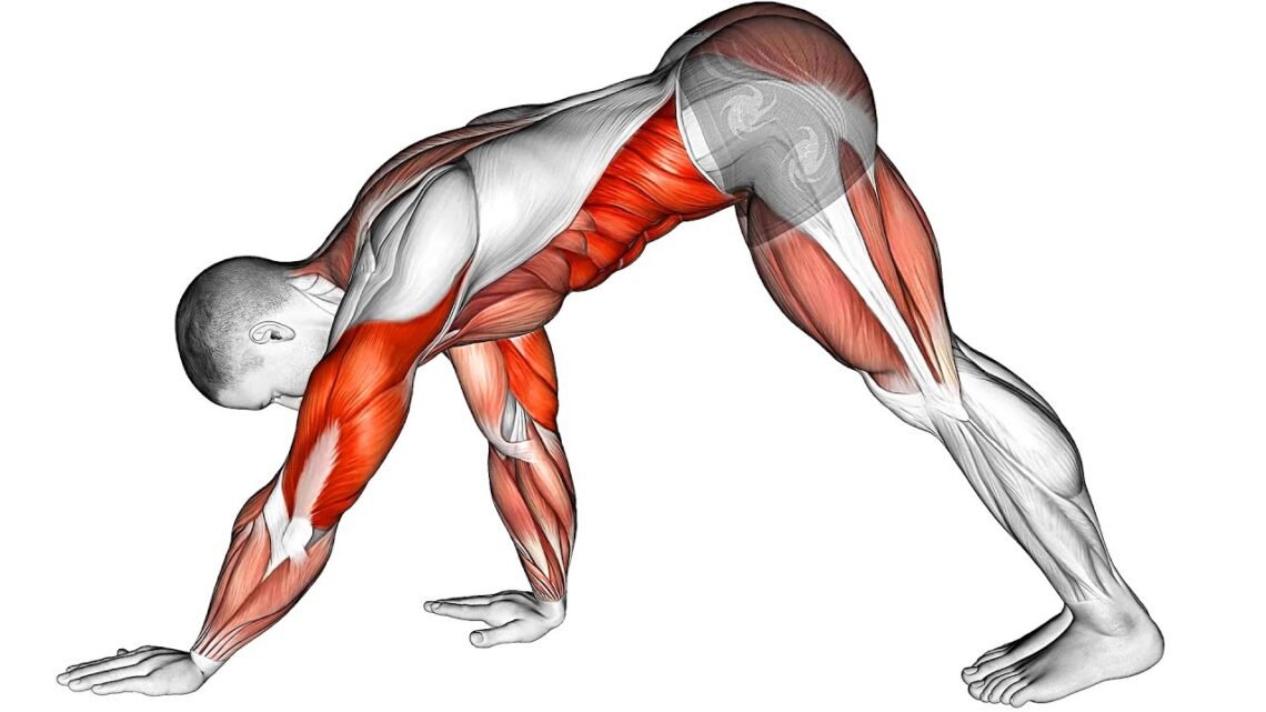 Full Body Bodyweight Workout