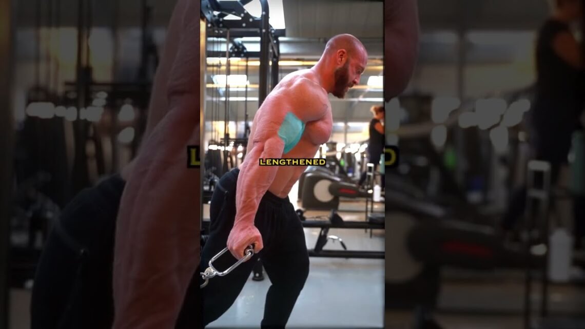 How To Grow Your Arms 💪 #armdayworkout