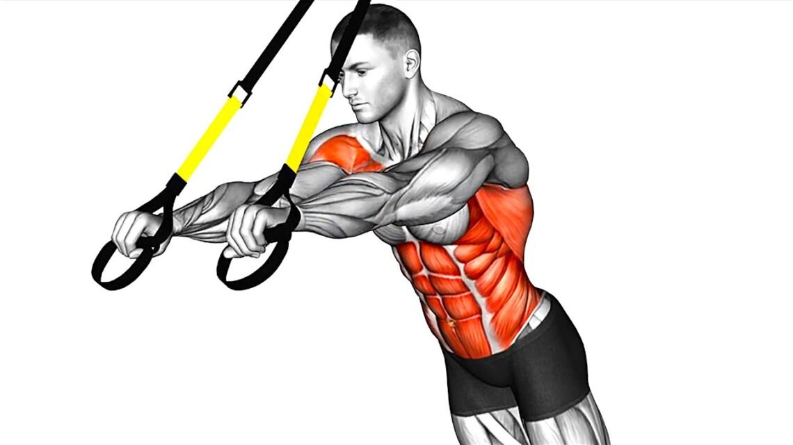 Bodyweight Training (Suspended Strength Exercises)