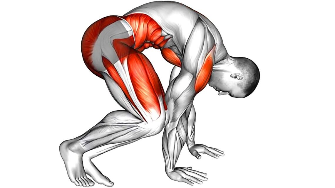 Lose Belly Fat for Six Pack Abs