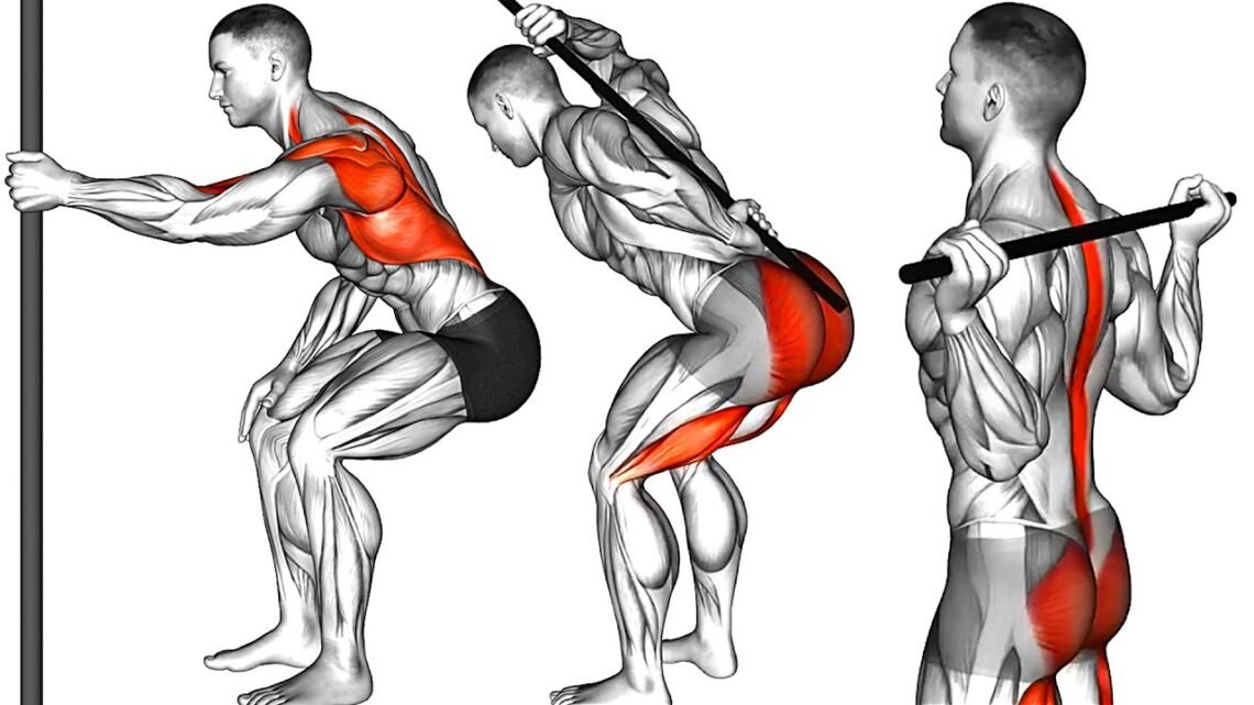 The Best Mobility Exercises to Improve Your Posture
