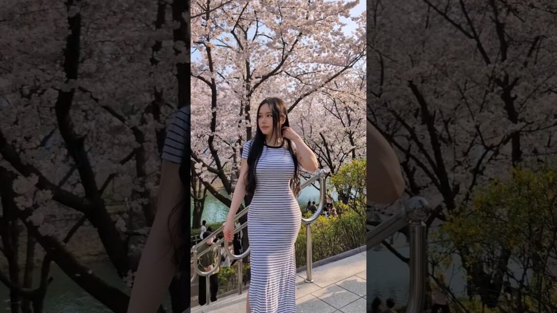 waited a year for this. #spring #sakura #seoul