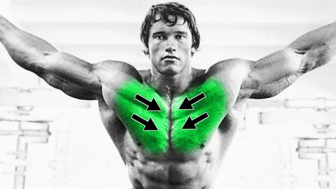 How to Get That “MIDDLE” Chest Line (No Bullsh*t Guide) How to Get That “MIDDLE” Chest Line (No Bullsh*t Guide)