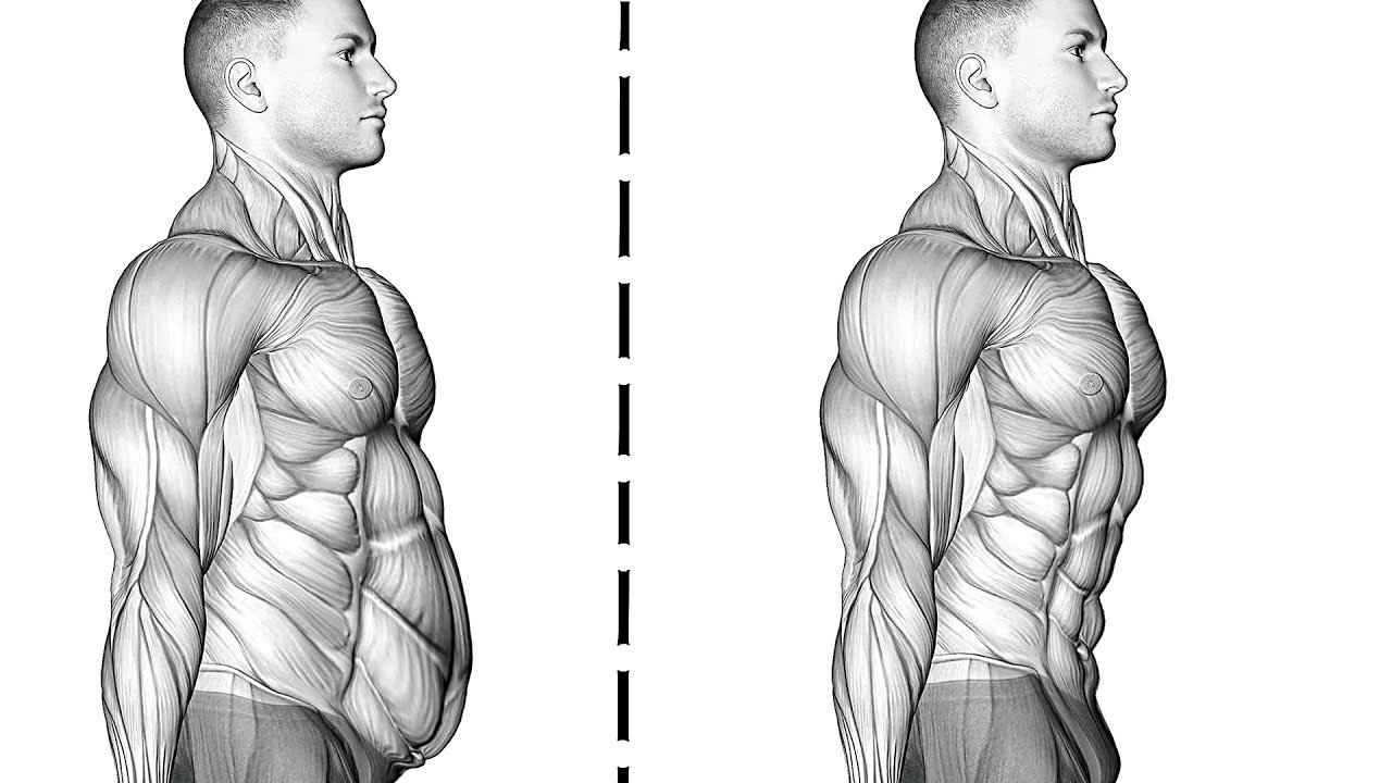 Raise Your Legs Up and Get Rid of The Hanging Belly – Beast Immortal