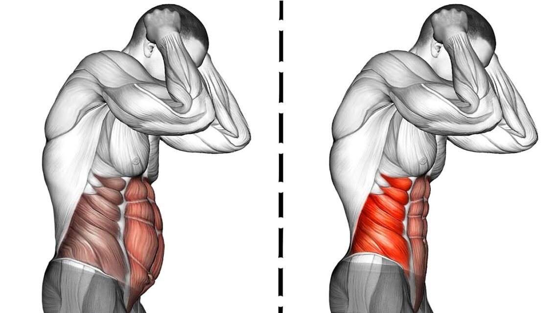 The Best Exercises for Hanging Belly Fat (Lose Belly Fat in 1 Week)