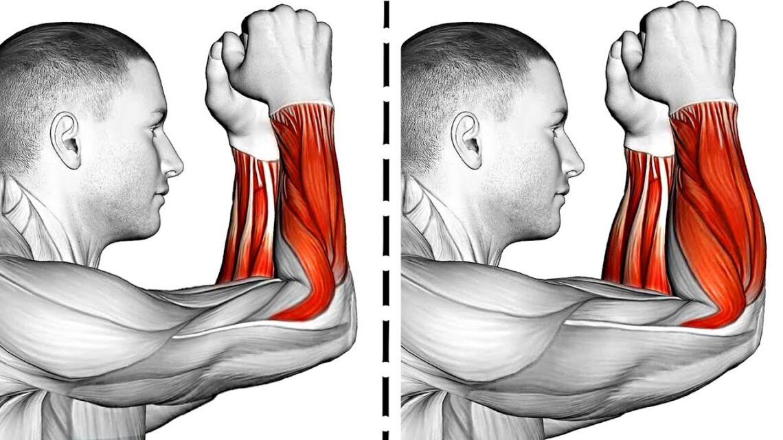 Forearm Exercises for Stronger Arms Forearm Exercises for Stronger Arms
