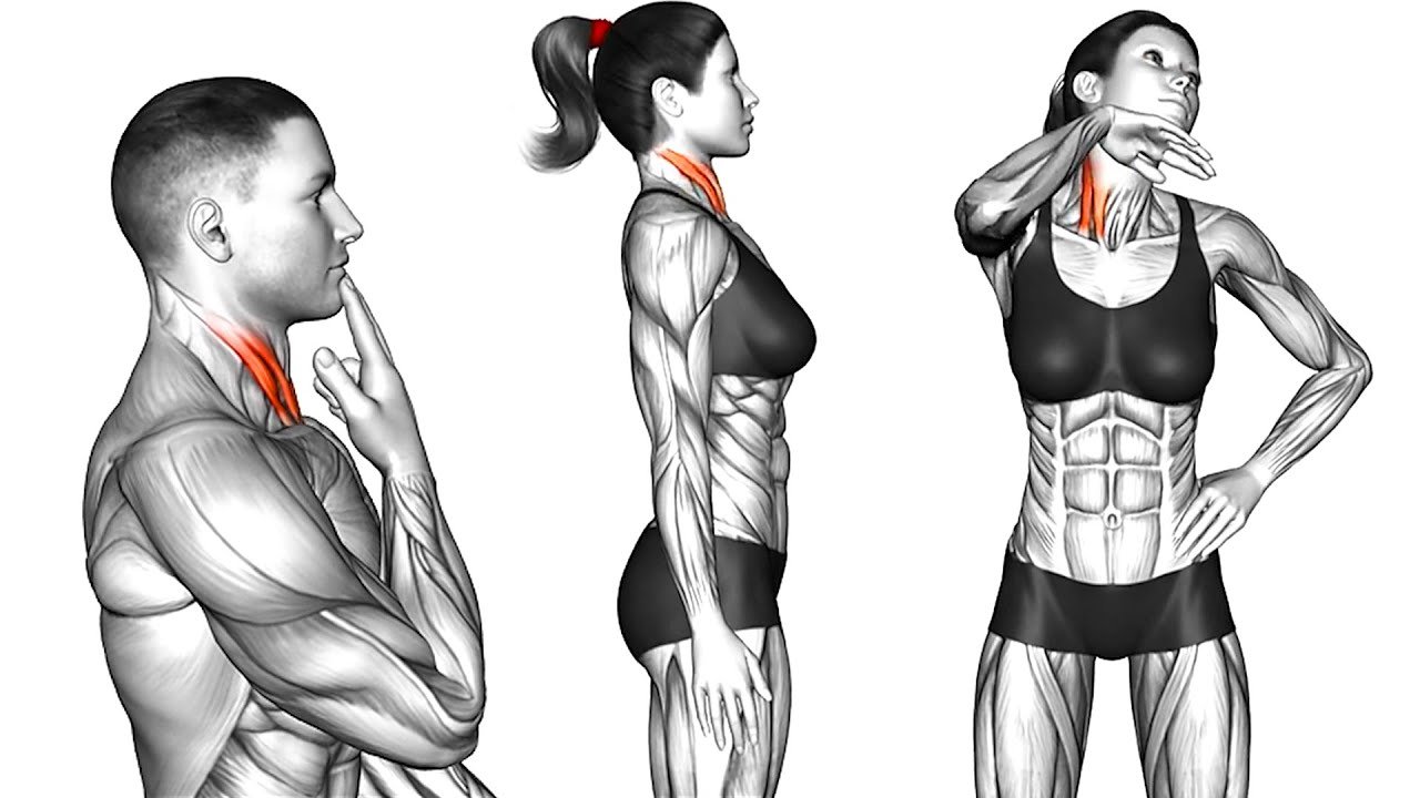 9 Exercises To Get Rid of A Double Chin and Neck Hump – Beast Immortal