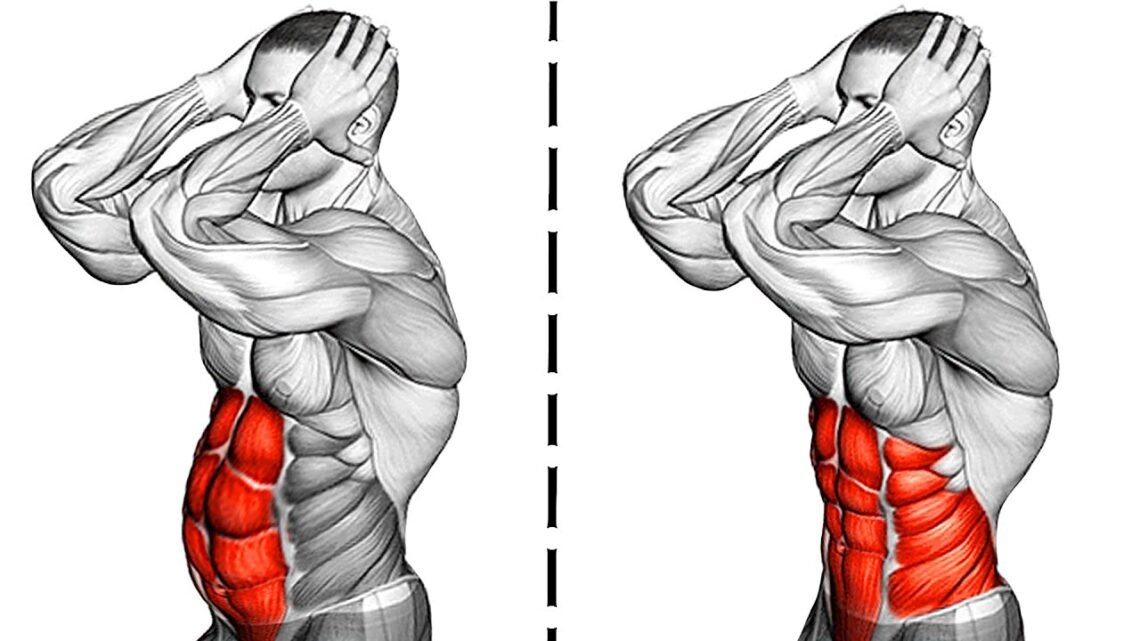 8 Plank Exercise to Strengthen Your Abdominal Muscles 8 Plank Exercise to Strengthen Your Abdominal Muscles