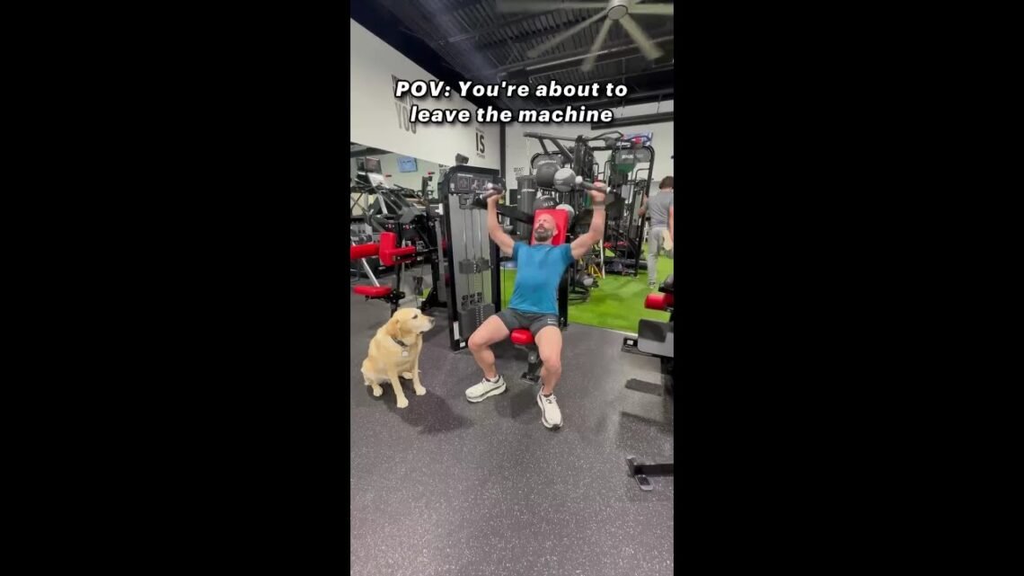 The Ultimate Gym Flex IG magnusthetherapydog