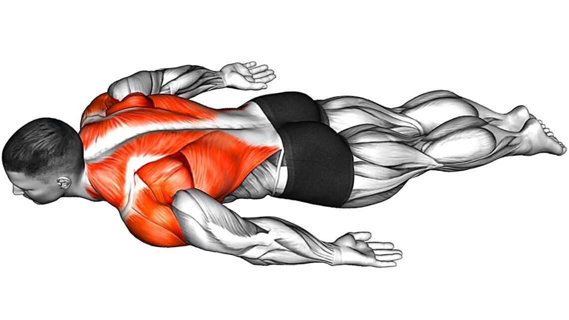 Full Body Stretch for Beginners