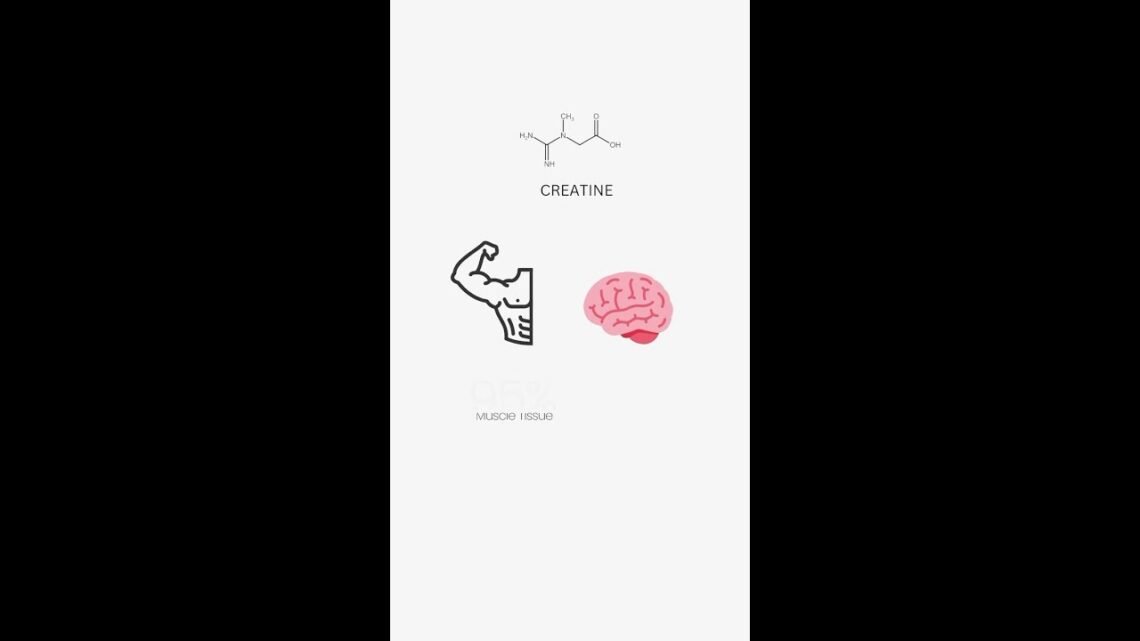 Potential Benefits of Creatine on Depression  IG @trainbloom