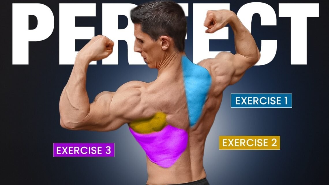 The PERFECT Science Based Back Workout (2025 EDITION) The PERFECT Science Based Back Workout (2025 EDITION)