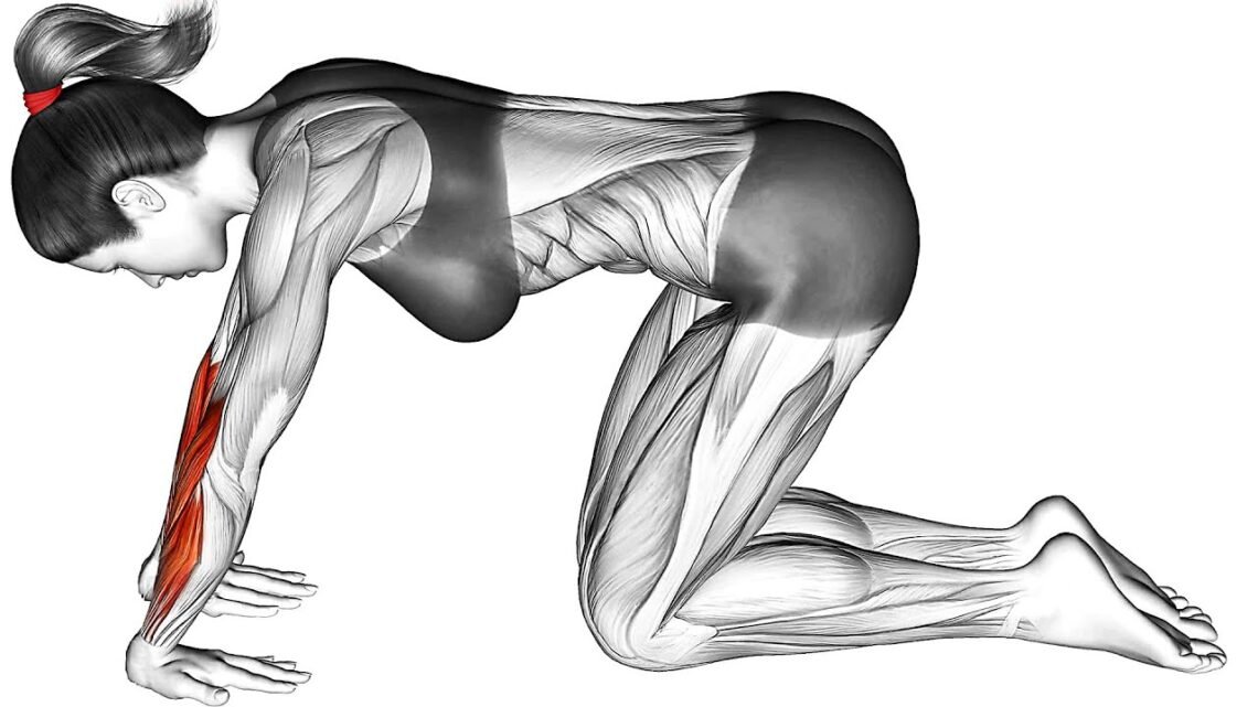 Morning Exercise Routine For Beginners At Home