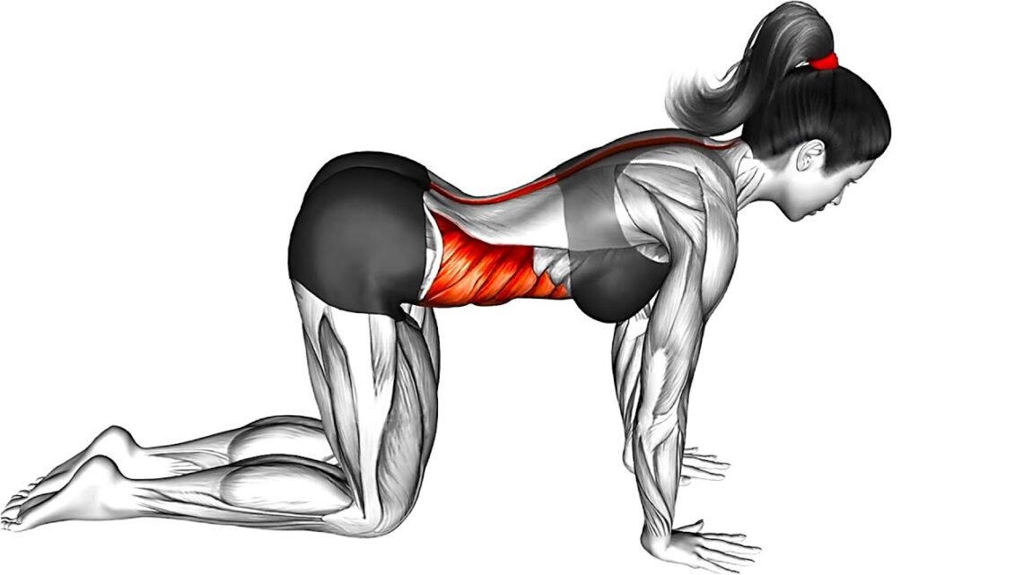 Best Quick Exercises with Me in The Morning