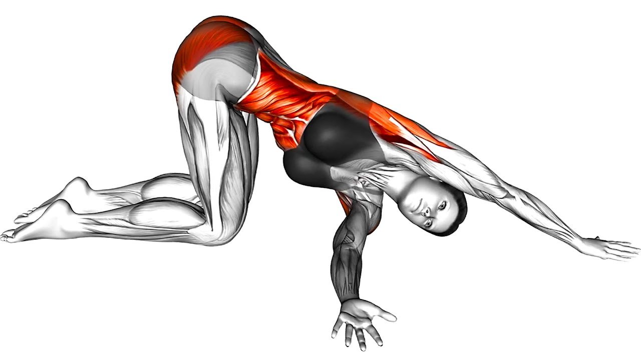 Gentle Morning Stretch Routine – Beast Immortal