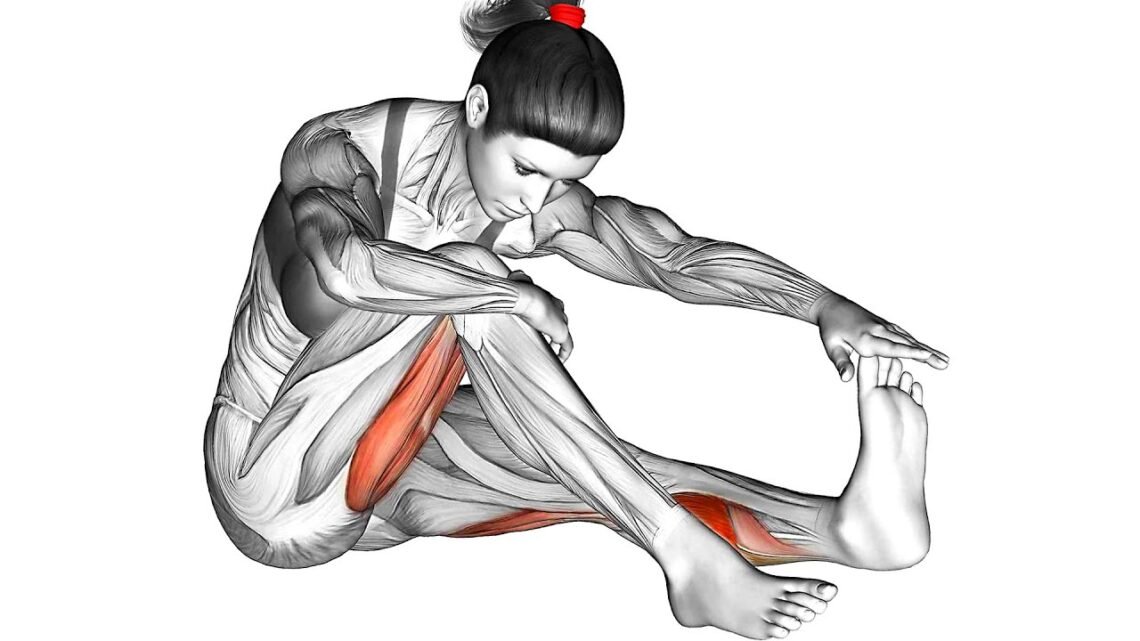 Morning Stretching Routine