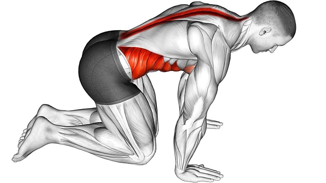 Do This Muscle Activation Routine for The Upper and Lower Body