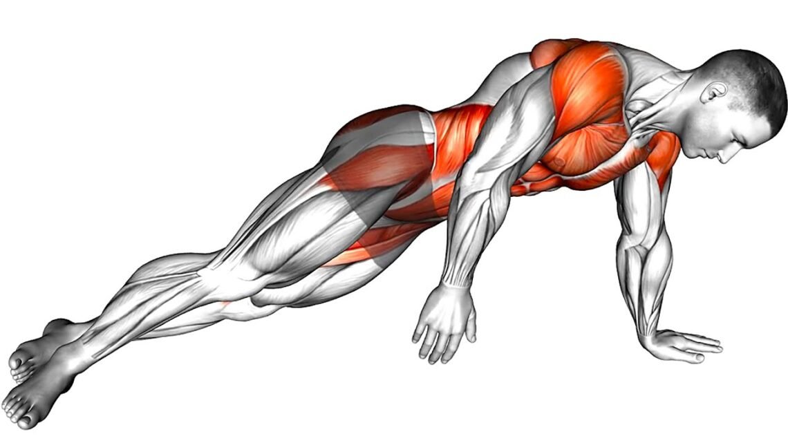 Flat Belly Workout Plan: Abs Transformation