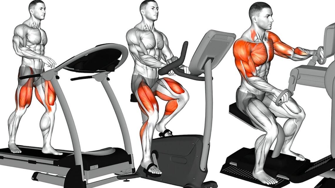 Beginners Weight Loss Workout Using Gym Machines