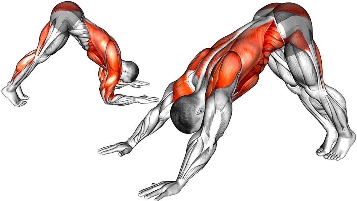 9 Exercises for Health and Wellness 9 Exercises for Health and Wellness