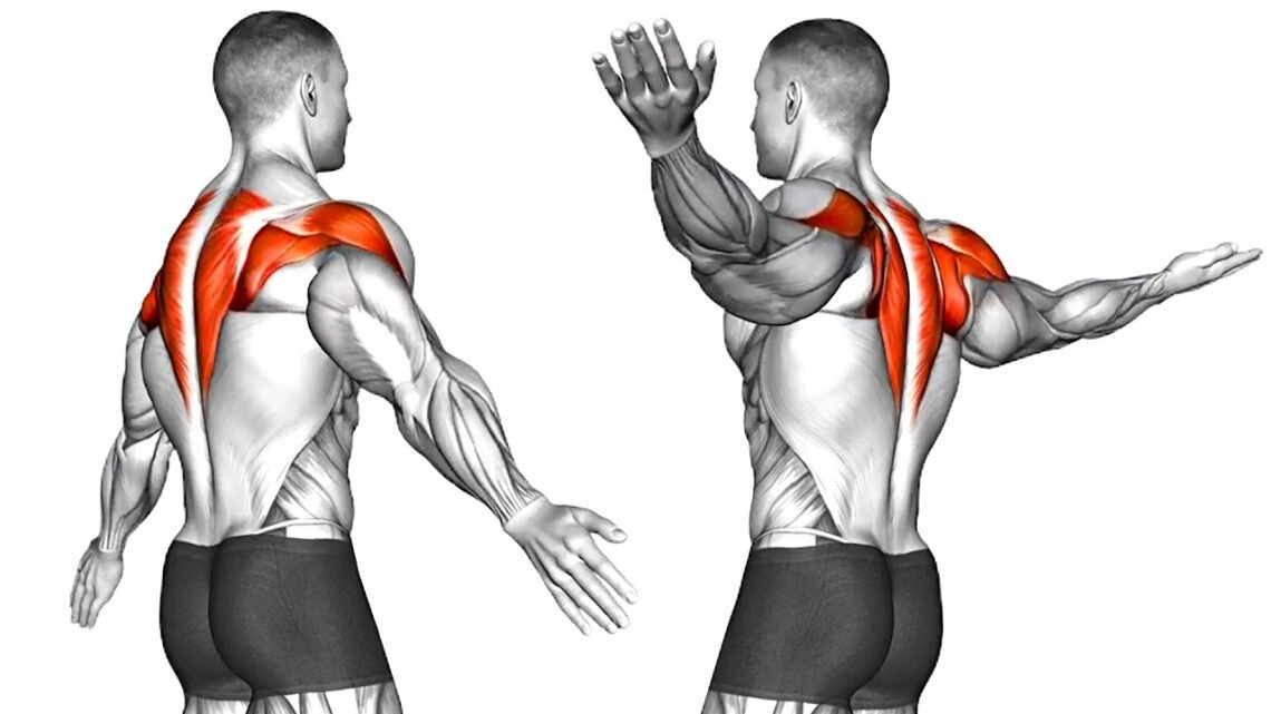 Fix Your Posture – 9 Home Exercises To Fix Your Bad Posture
