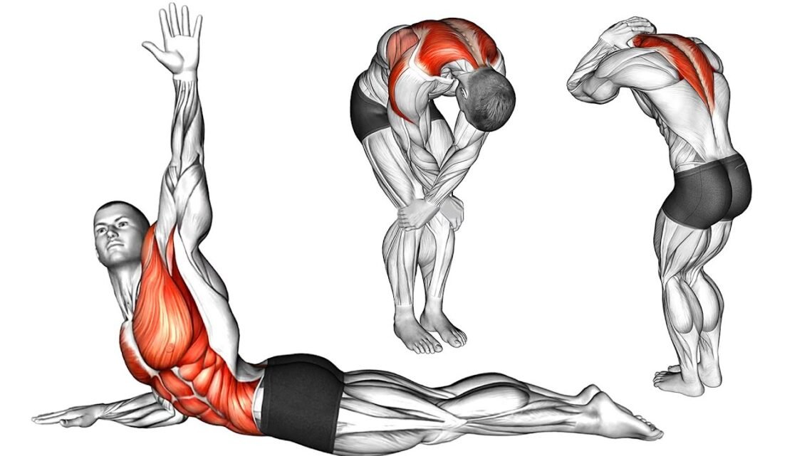 Perfect Posture in 5 Min – Best Posture Exercise Perfect Posture in 5 Min – Best Posture Exercise
