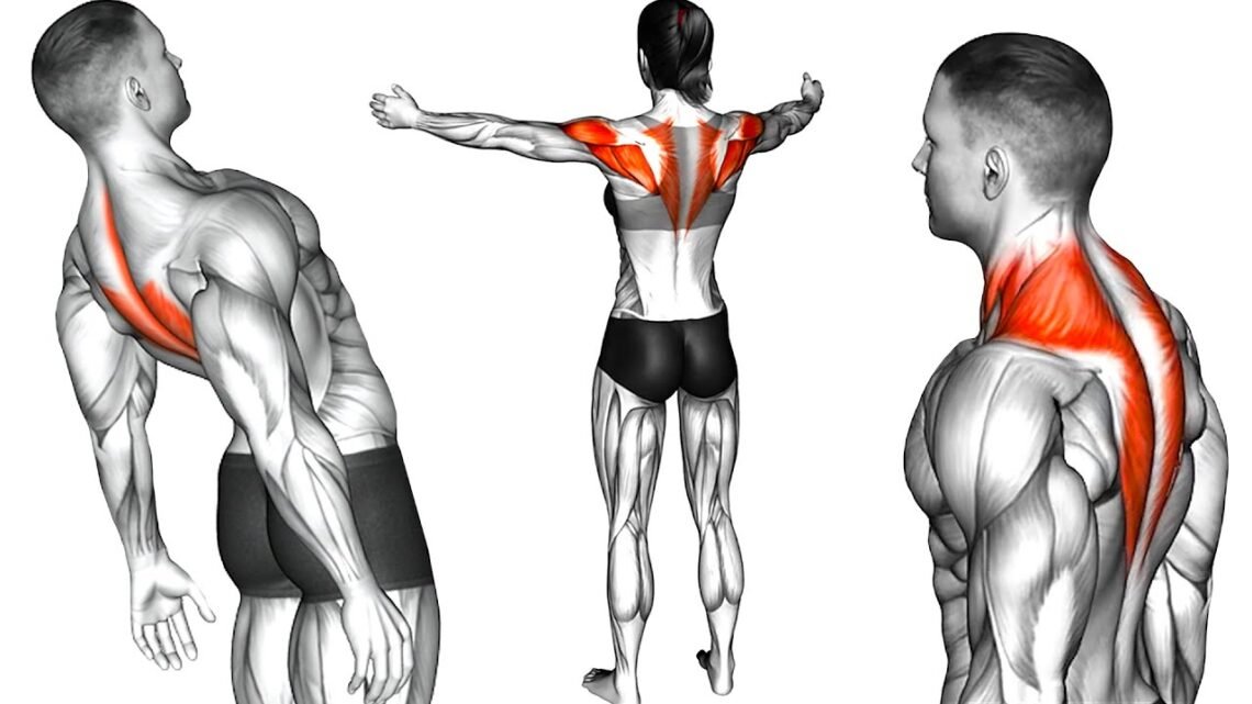 These Exercise Can Improve Your Health and Physical Ability These Exercise Can Improve Your Health and Physical Ability