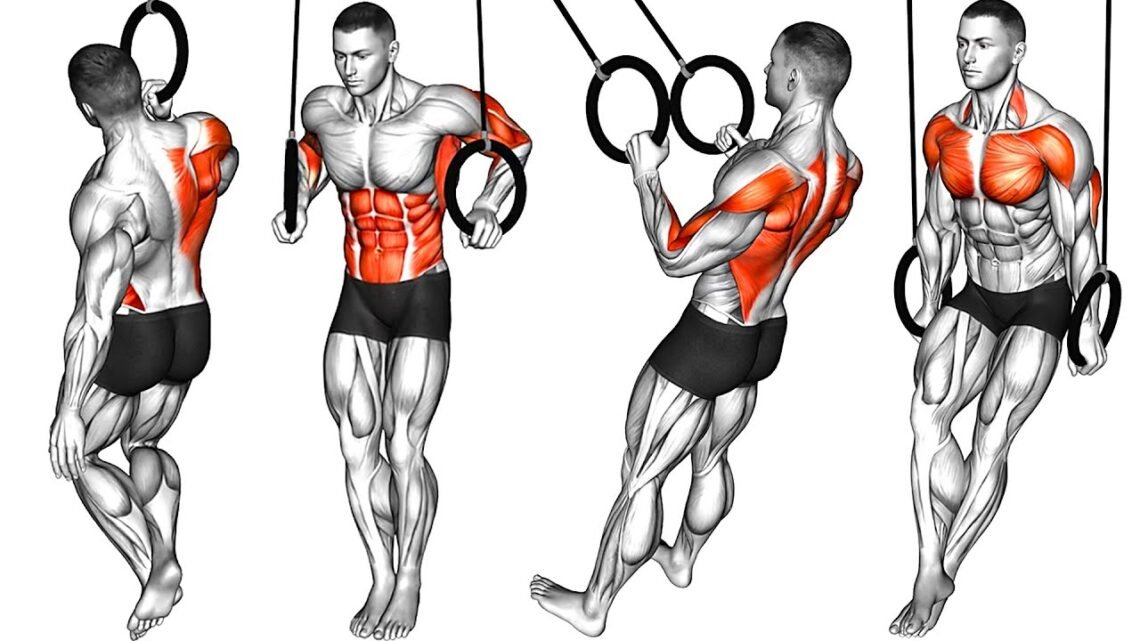 Exercises on The Gymnastics Rings Exercises on The Gymnastics Rings
