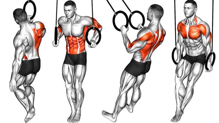 Exercises on The Gymnastics Rings