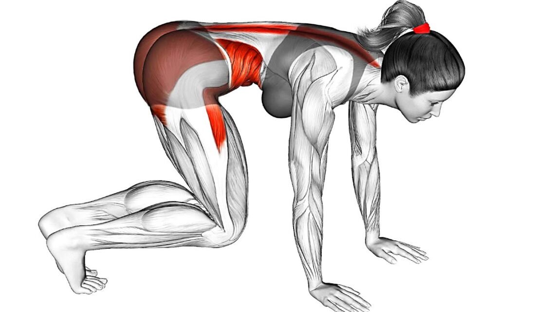 Stretching Full Body (Stretching Exercises) Stretching Full Body (Stretching Exercises)