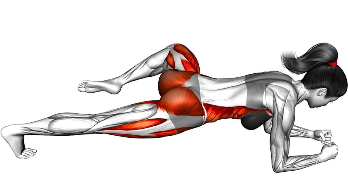 Lose Belly Fat Exercises Belly Fat Loss Lose Belly Fat Exercises Belly Fat Loss