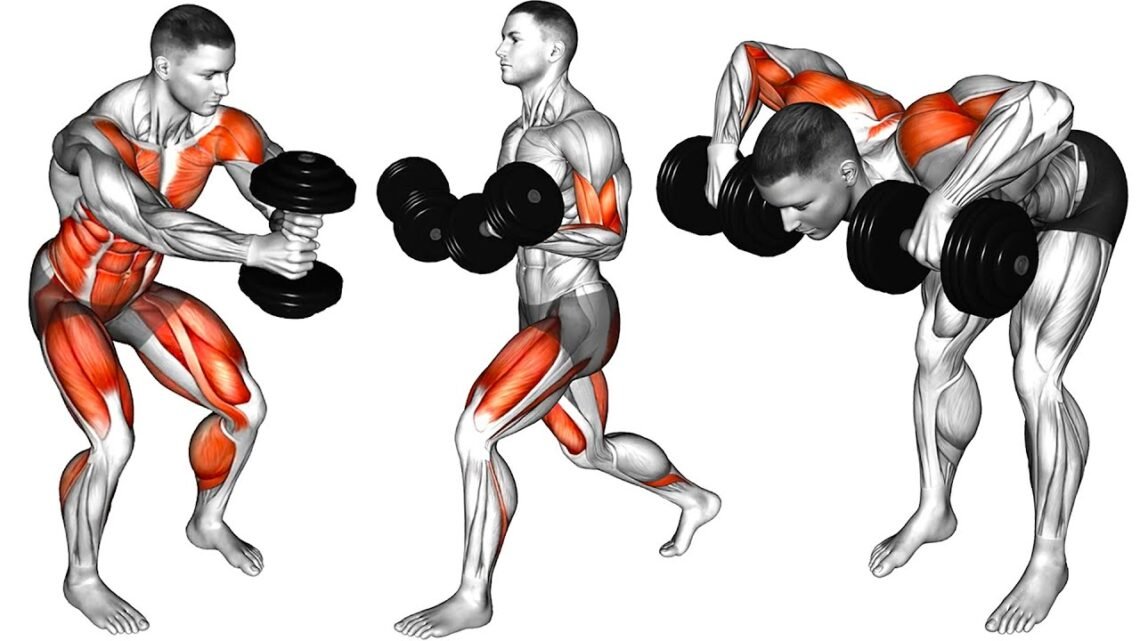 The Best Dumbbell Exercises to Target Every Muscle at Home The Best Dumbbell Exercises to Target Every Muscle at Home