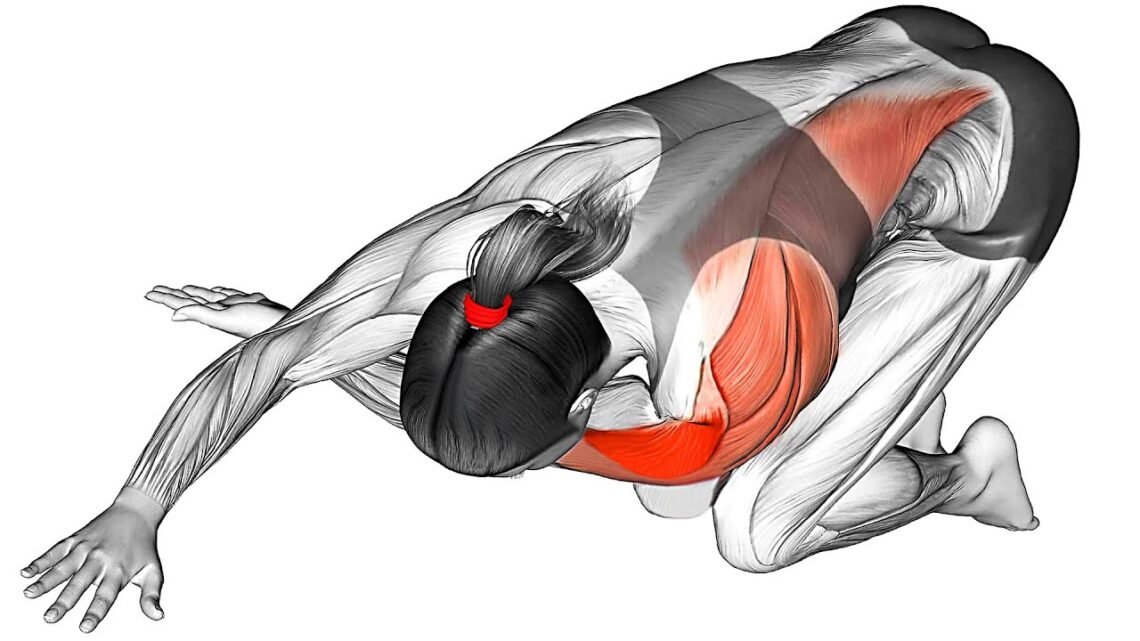 How to Tone Your Muscles with Morning Exercise How to Tone Your Muscles with Morning Exercise