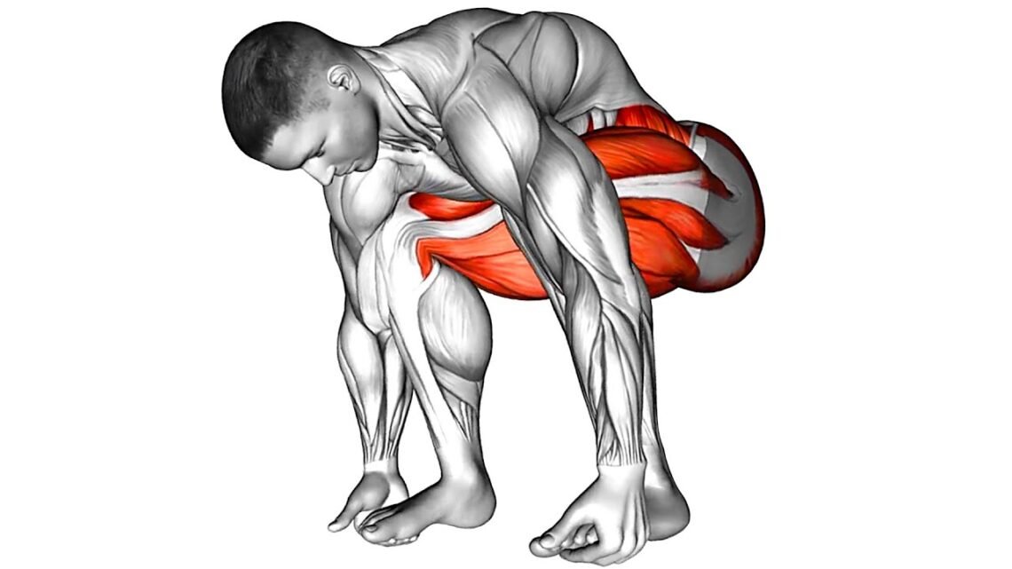 5 Exercises That Fix 99% of Health Problems 5 Exercises That Fix 99% of Health Problems