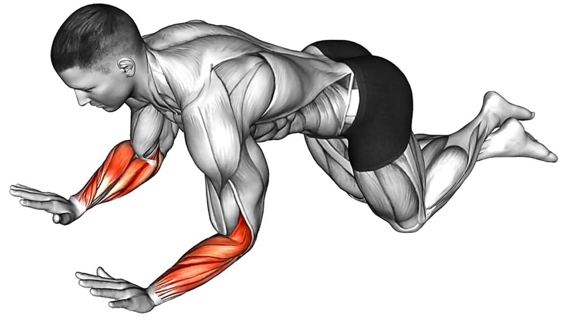Top 10 Bodyweight Exercises for Building Sculpted Arms Top 10 Bodyweight Exercises for Building Sculpted Arms