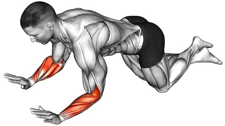 Top 10 Bodyweight Exercises for Building Sculpted Arms