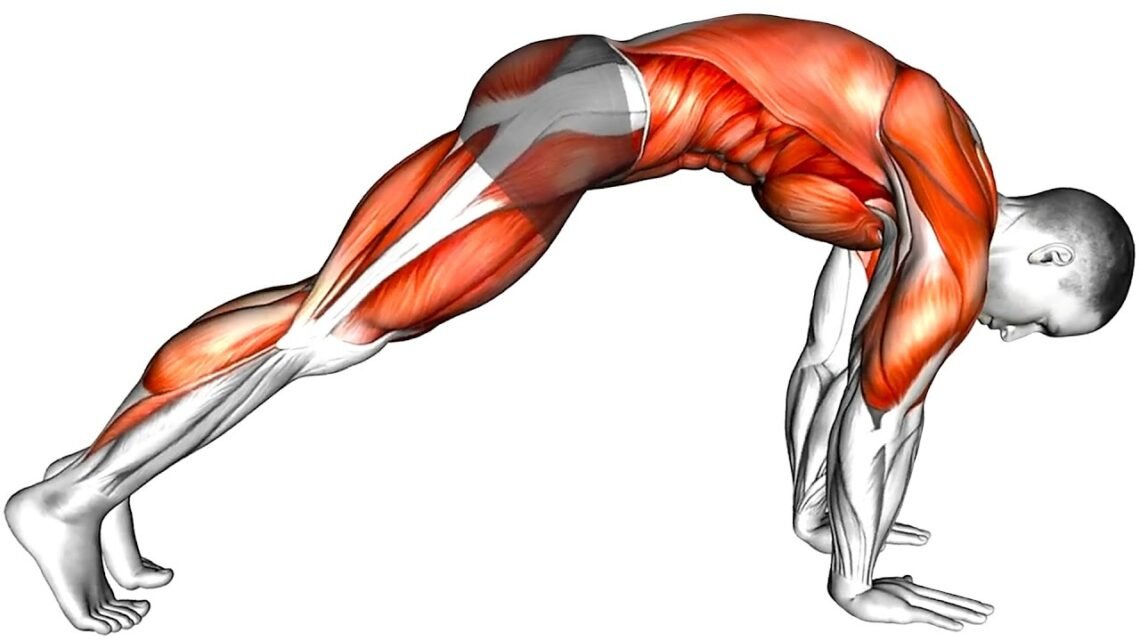 Do This Exercise for 10 Days and Look in the Mirror