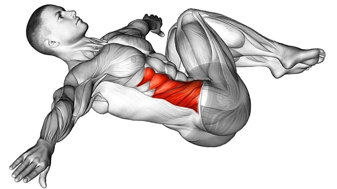 Boost Your Testosterone Levels with Secret Exercises Boost Your Testosterone Levels with Secret Exercises