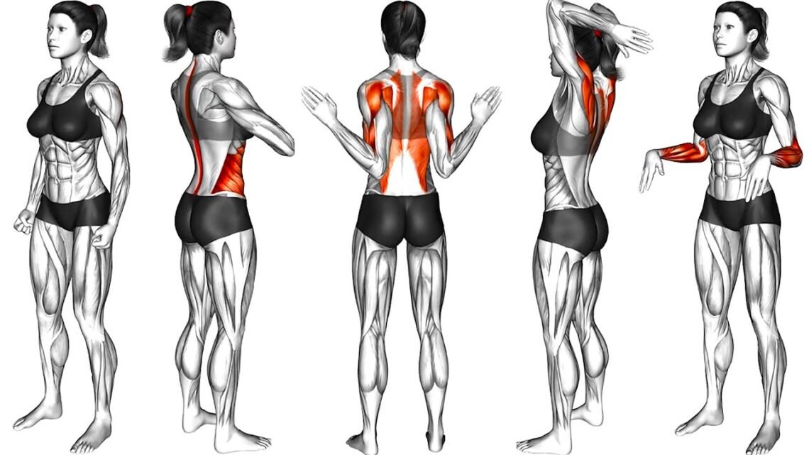 15 Warm-Up Exercises to do at home 15 Warm-Up Exercises to do at home