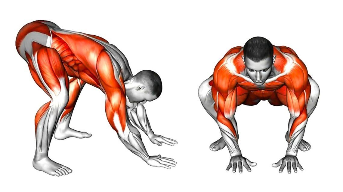 Animal Movement Inspire Your Next Workout