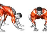 Animal Movement Inspire Your Next Workout