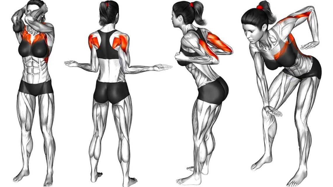 How to Tone Your Muscles and Relief Pain How to Tone Your Muscles and Relief Pain