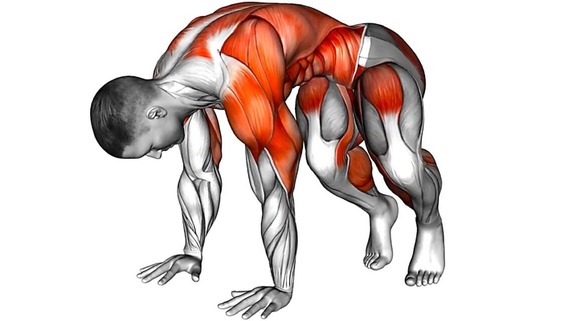 How to Get Stronger No Gym How to Get Stronger No Gym