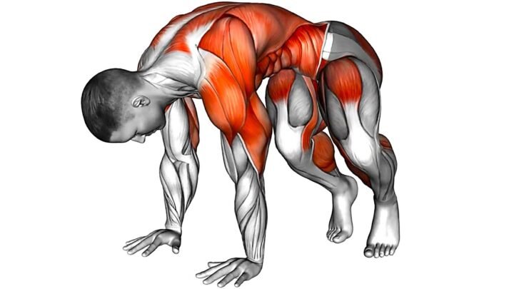 How to Get Stronger  No Gym