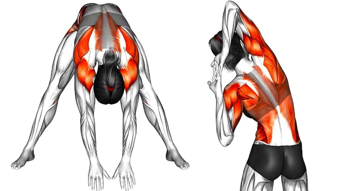 8 min Best Warm-Up Exercises at Home 8 min Best Warm-Up Exercises at Home