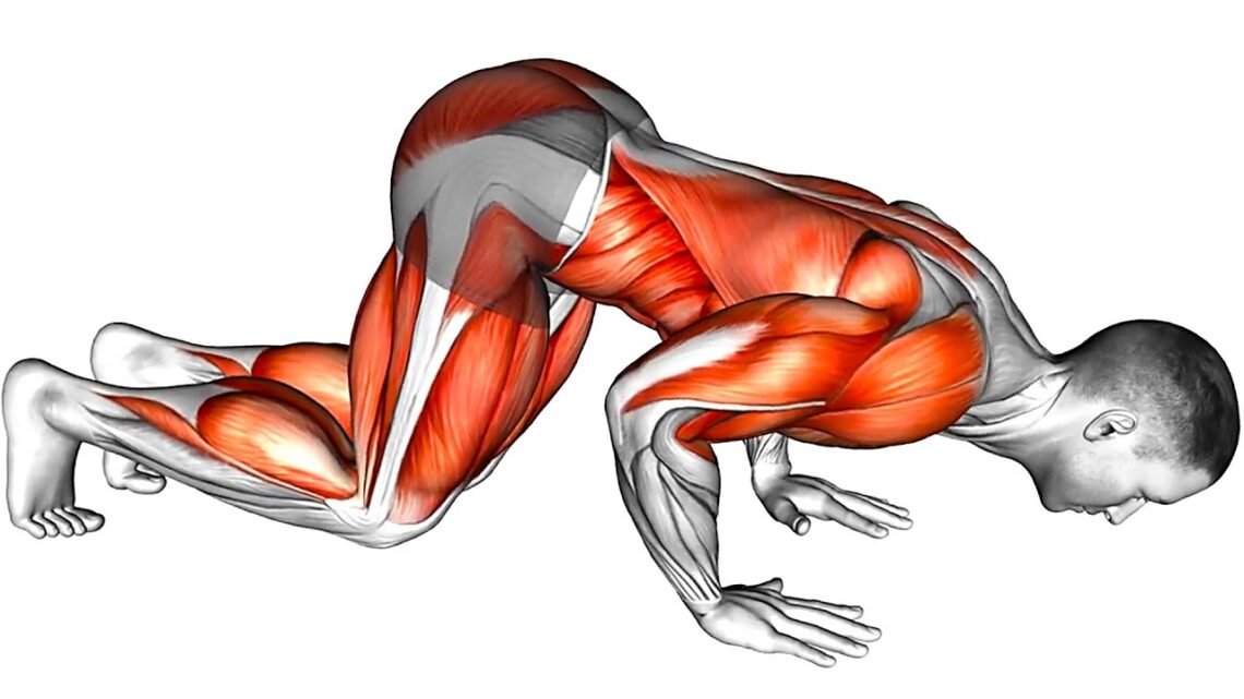 5 Push-Ups: The Perfect Strength Workout 5 Push-Ups: The Perfect Strength Workout