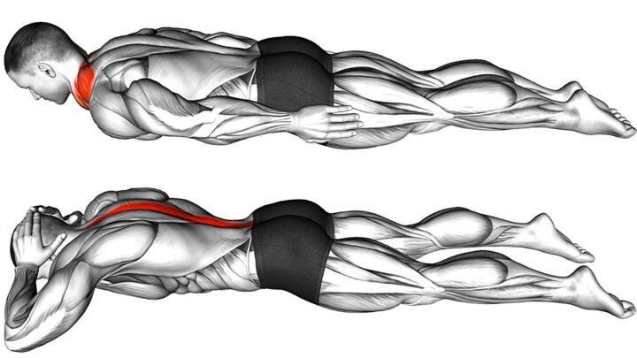Mobility Exercises to Improve Your Bad Posture