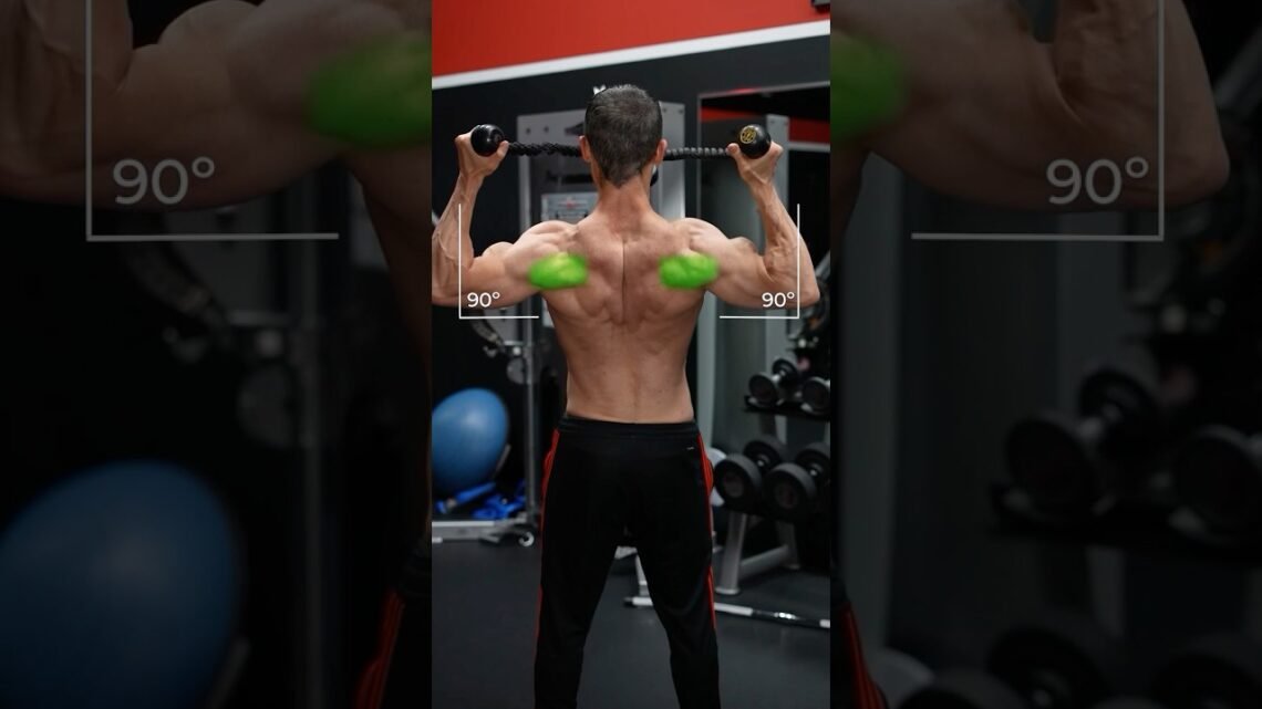 The 3 Greatest Rear Delt Exercises (NOT FLYS!) The 3 Greatest Rear Delt Exercises (NOT FLYS!)