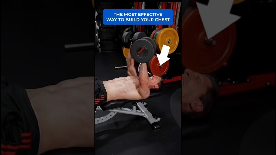 The Most “Effective” Way to Build Your Chest The Most “Effective” Way to Build Your Chest